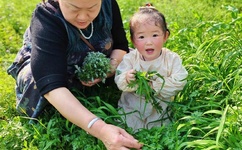 你流了那么多水还说不要